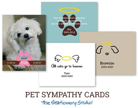 55 Top Pictures Pet Sympathy Cards 111 Best Pet Sympathy Cards Images