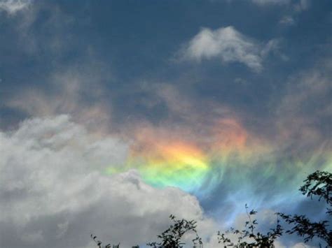 A Rainbow Appears In The Sky Above Some Trees And Clouds On A Partly