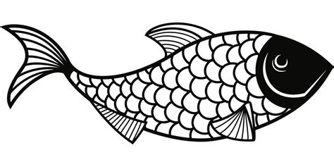 Download Fish Nature Animal Royalty Free Vector Graphic Pixabay