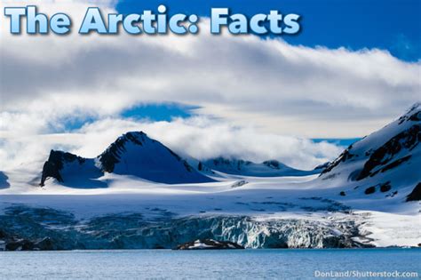 The Arctic Facts For Kids Information Pictures And Video
