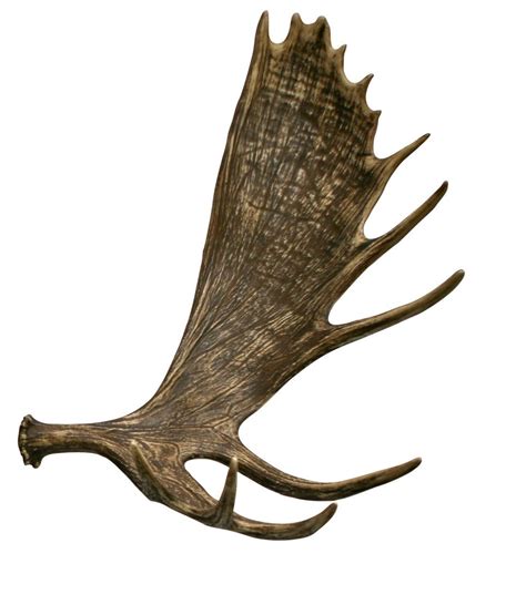 Moose Faux Antler Cast Horn Designs
