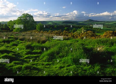 A View Toward Eildon Hill North Stock Photo Alamy