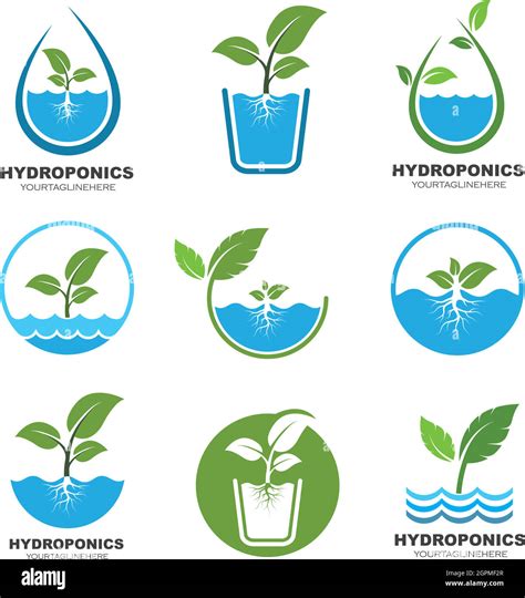 Hydroponics Logo Vector Illustration Design Stock Vector Image And Art