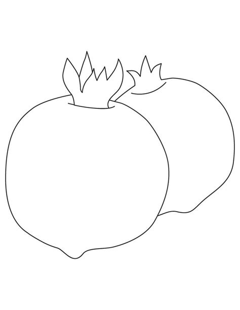 Pomegranate Coloring Page Free Printable Pomegranate Coloring Page