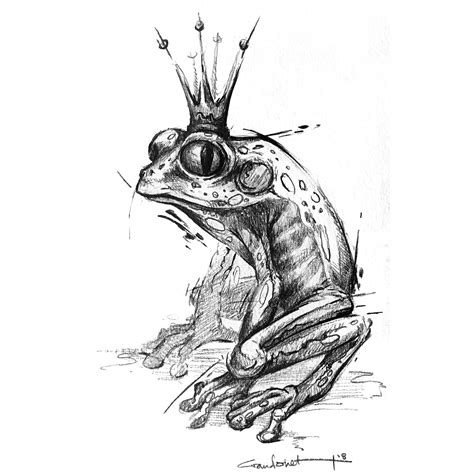 Frog Pencil Drawing Free Download On Clipartmag
