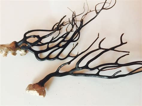2 Small Gorgonian Black Coral Tree By Amphoraseyes On Etsy