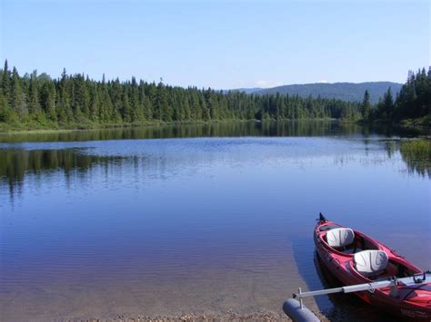 Celebrate Ten Years Of Connecticut Lakes Headwaters Conservation In Nh