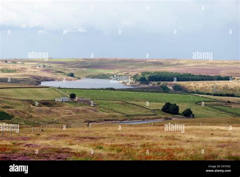 Woodhead High Resolution Stock Photography And Images Alamy