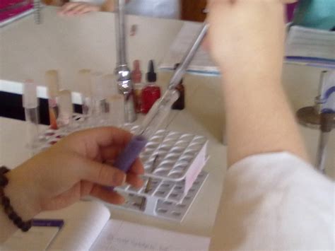 Samantha and Sarah's Microbiology Lab Journal: The Preparation of Tests, Tests, and more Tests!
