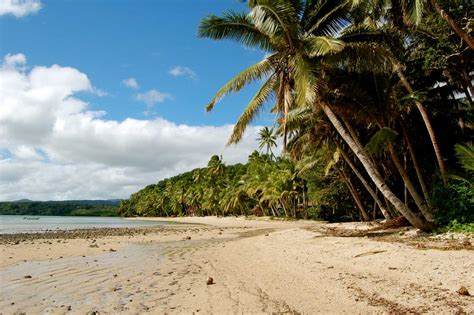 10 Amazing Things To Do In Kadavu Fiji Pocket Guide