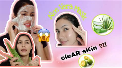 Instead of making a face mask, you can also use the strawberries as an excellent face scrub. how to make a diy aloe vera face mask / diy facial mask ...