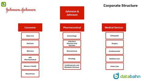 💄 Johnson And Johnson Organizational Structure What Is The