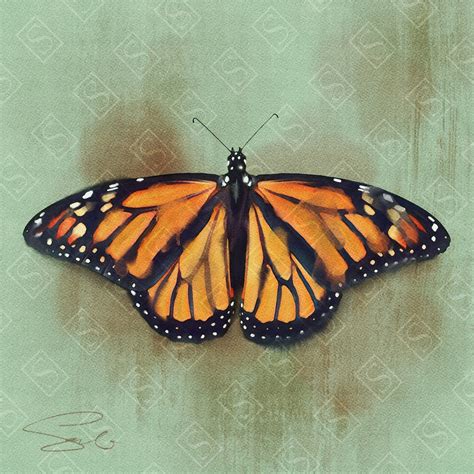 Butterfly Monarch Watercolor Digital Download Etsy