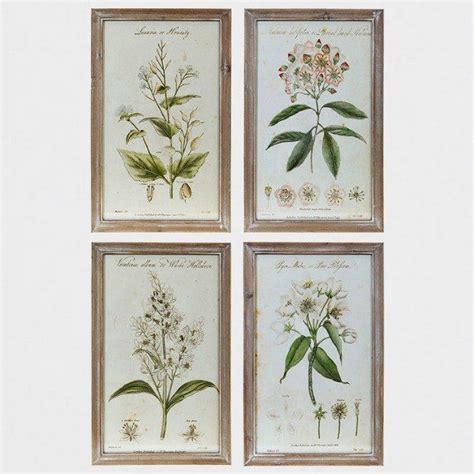 Botanical Framed Print Set Of 4 Framed Botanical Prints Botanical