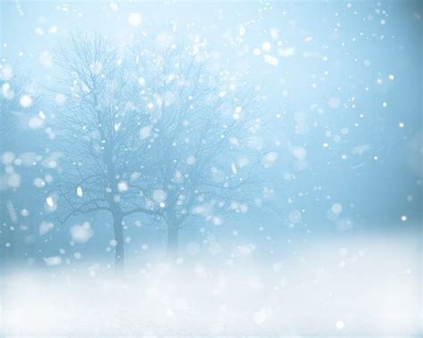 Light Blue Background Aesthetic Winter Pic Head