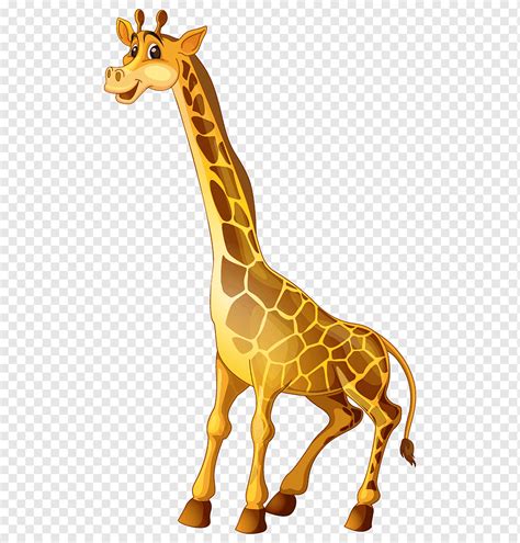 Desenho De Girafas Bebê Girafa Mamífero Animais Girafa Png Pngwing