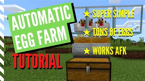 Maybe you would like to learn more about one of these? EASY Automatic EGG FARM Tutorial For Minecraft 1.16+ (AFK ...