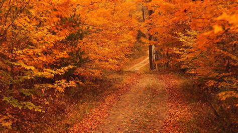 Autumn Wallpapers High Quality Download Free