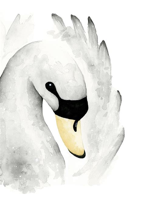 Swan Watercolour Art Print A3 Nursery Animal Swan Painting Bird