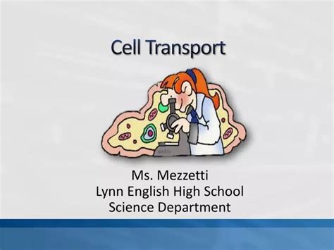 Ppt Cell Transport Powerpoint Presentation Free Download Id2595508