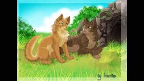 Warrior Cats Couples Youtube