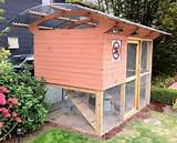 Roof For Chicken Coop Pictures