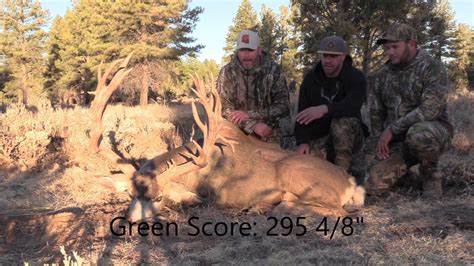 Dyno 295 Inch Az Strip Giant Mule Deer Youtube