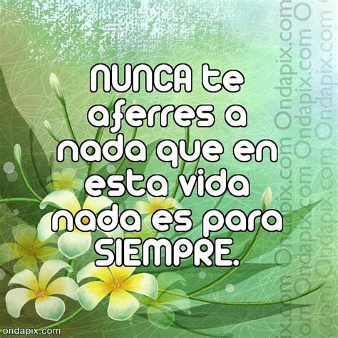 Imagenes Y Frases Facebook Nunca Te Aferres A Nada