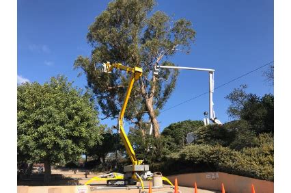 Westree arborist services provides certified tree trimming and arbor services in the santa barbara westree was founded by peter winn, an arborist of 23 years. Peterson's Tree Care - Santa Barbara, CA | SantaBarbaraYP