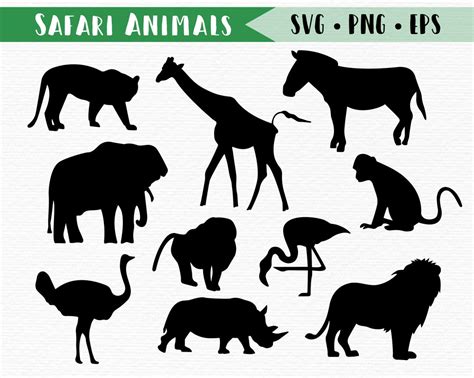 Zoo Animals Svg Bundle Safari Animals Svg Safari Svg Etsy