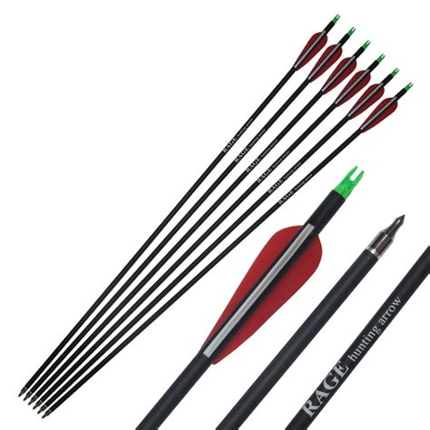 Spine 500 Carbon Arrows For Archery Hunting With Screw Tips Shooting