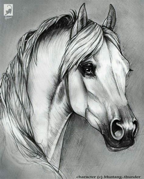 Pin By Milagros PiÑeiro On LÁminas Variadas Horse Art Drawing Horse