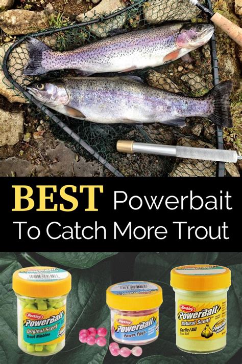 Best Powerbait For Trout Fishing How To Use Powerbait Rainbow Trout