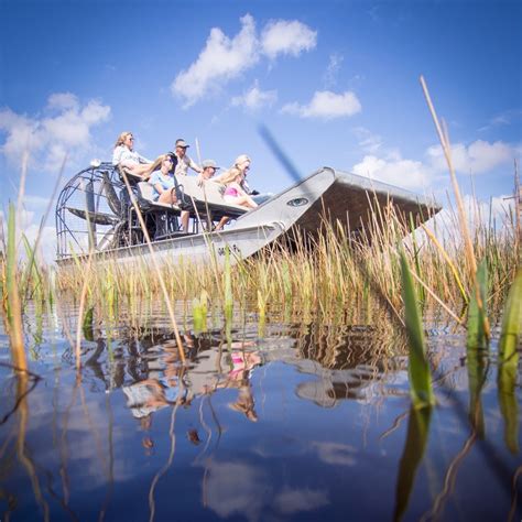 Best Camping In Everglades National Park The Dyrt