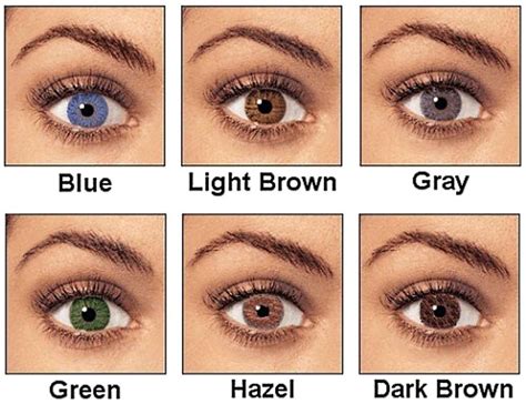 Miglior Colore Dei Capelli Blu Marrone Chiaro Verde E Gli Occhi