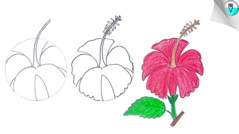 How To Draw A Hibiscus Flower Step By Step Easy Youtube