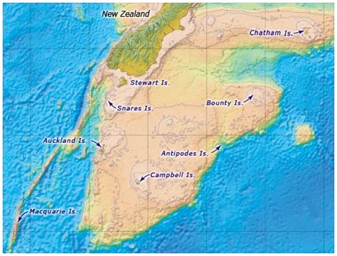 The Subantarctic Islands Ecoregions Te Ara Encyclopedia Of New Zealand