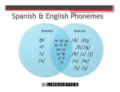 English Vs Spanish Phoneme Venn Diagram