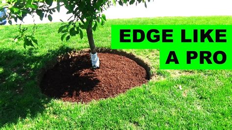 How To Edge And Mulch Around A Tree Landscaping Around Trees