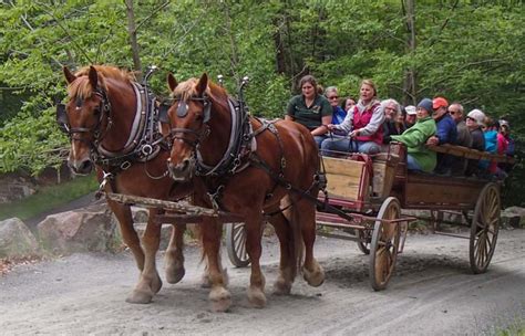 Acadia National Parks Carriage Roads In Maine Thanks Rockefeller
