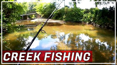 Maybe you would like to learn more about one of these? Realistic Creek Fishing with Trout Magnets and Creek ...