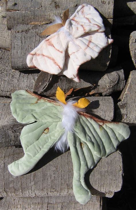 We did not find results for: Adorable Pest Plushies To Add To Your Creepy Stuffed ...