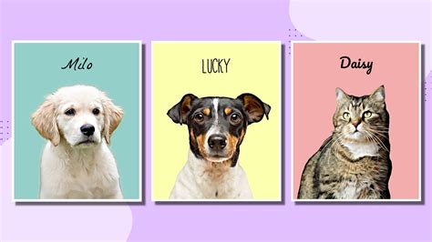 How To Make A Digital Pet Portrait Learn Befunky