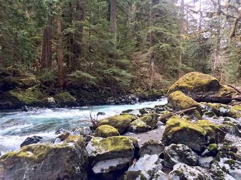 Whether you're traveling with friends, family, or even pets, vrbo vacation homes have the best amenities for hanging out with the people that matter most, including wifi and swimming pools. Hood Canal Camping - 4 Campgrounds for Families + 4 Hidden ...
