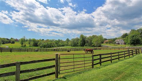 Original 2 🐎 Virginia Horse Farms For Sale