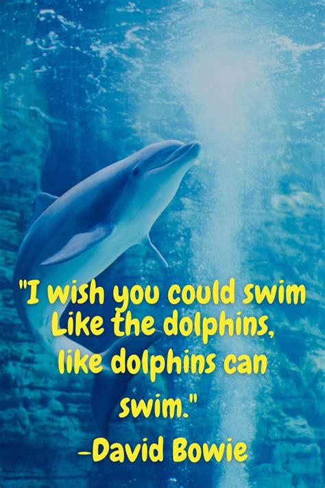 85 Powerful Dolphin Quotes And Captions Darling Quote