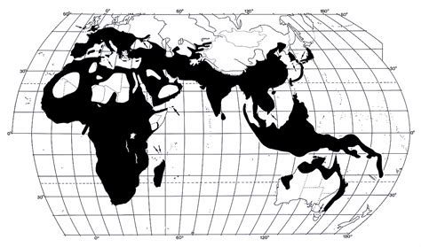 Rhinolophidae Distribution Map