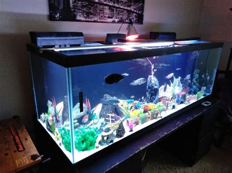 180 Gallon Fish Tank Aquarium For Sale In Downers Grove Il Offerup