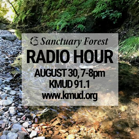 Sanctuary Forest Radio Hour Sanctuary Forest