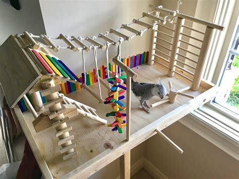 We created a diy parrots playground for our lovebird and budgie! Made a playground for my cockatiel! http://ift.tt/2gGmnwF | Cockatiel toys, Diy bird toys, Pet ...